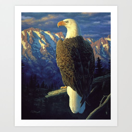 North American Bald Eagle Art Print