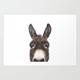 Hey Donkey Art Print