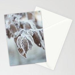 Ripe on a red leaf on a winter's morning Stationery Card