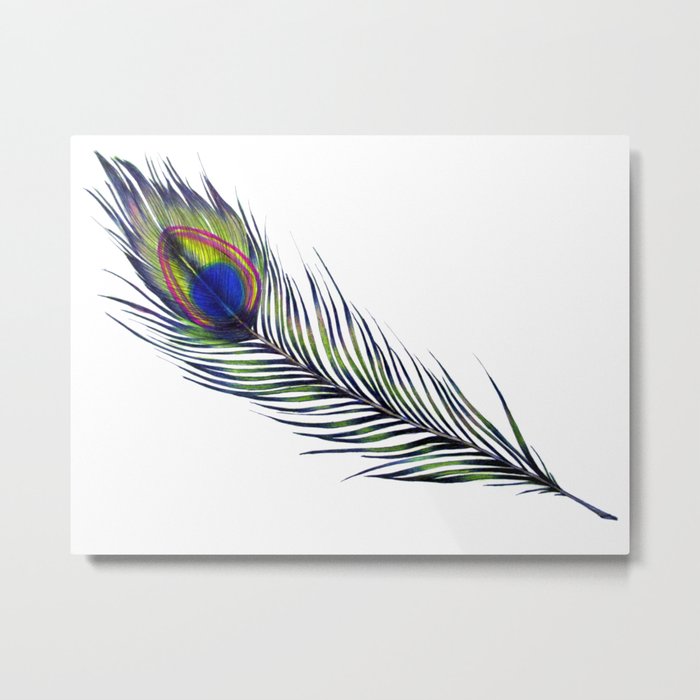 The Peacock's Feather Metal Print