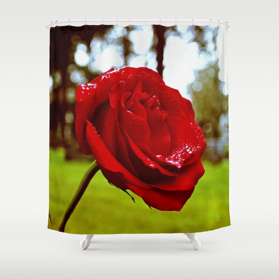 Single red rose Shower Curtain
