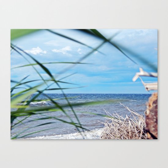 Secluded Beach Canvas Print