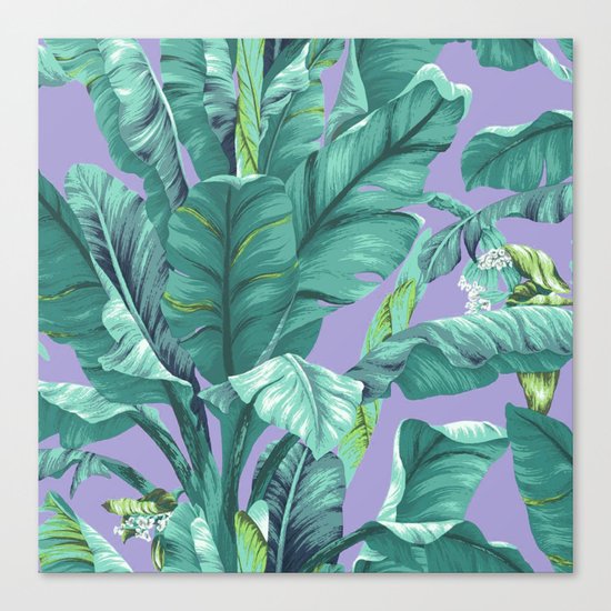 banana leaves Canvas Print