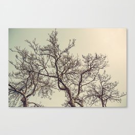 Entwined Canvas Print
