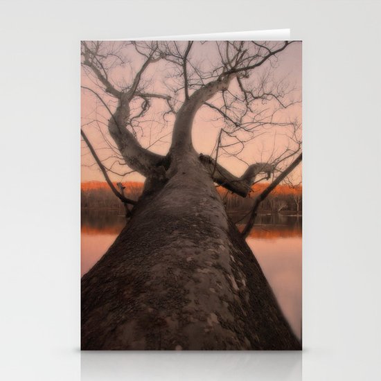 nature's perspective Stationery Cards