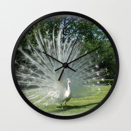 Beautiful White Peacock in Oval Frame Wall Clock