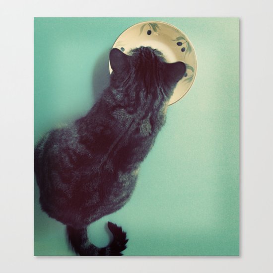 Cat and Saucer Canvas Print
