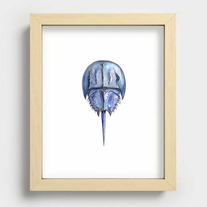 Blue Horseshoe Crab Recessed Framed Print