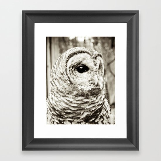 Wise Old Owl Framed Art Print