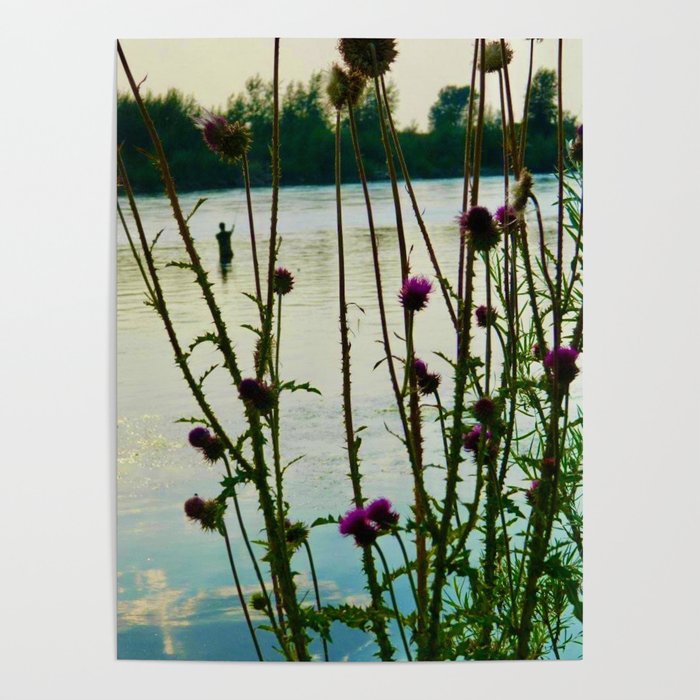 fisherman through thistle Poster