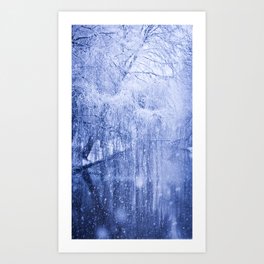 Snowing Willow Art Print | Nature, Photo 