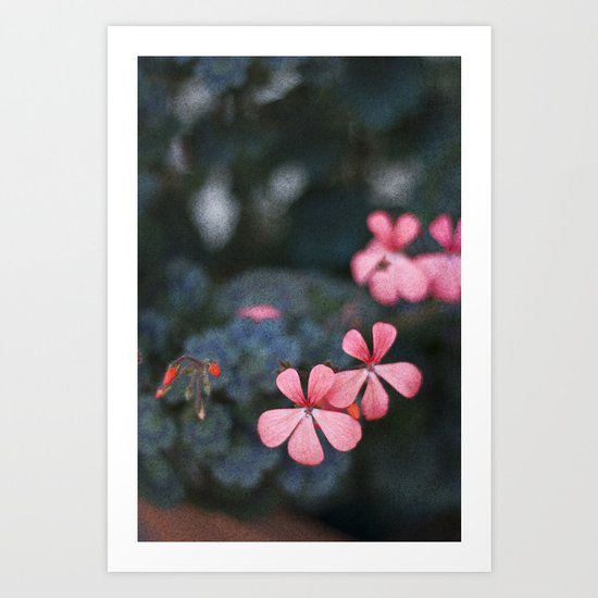 Pink Flowers Art Print