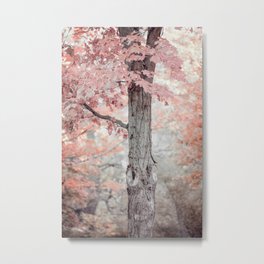 Pink, Peach and Coral Maple Tree Metal Print