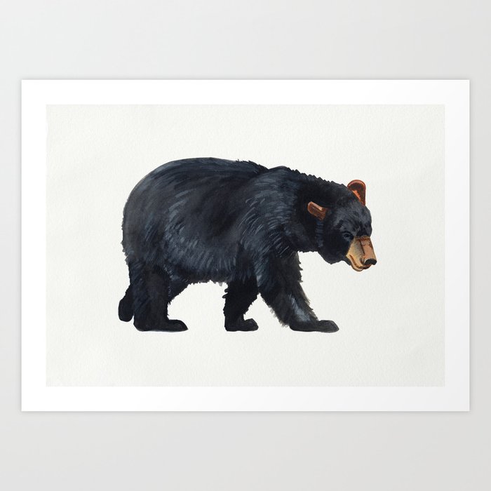 Watercolour Black Bear Drawing Art Print By Emma Fitzgerald | Society6