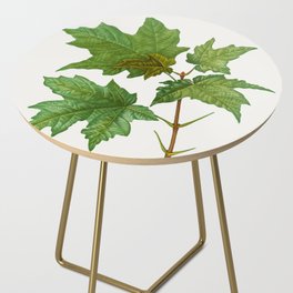 Botanical Maple Side Table