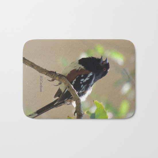 Spotted Towhee Scopes the Oak Grove Bath Mat