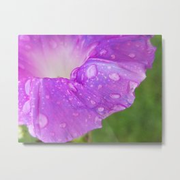 droplets Metal Print | Pink, Water, Digital, Flower, Garden, Photo, Green, Outside, Love, Nature 