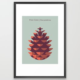 Pine Cone Mint Framed Art Print