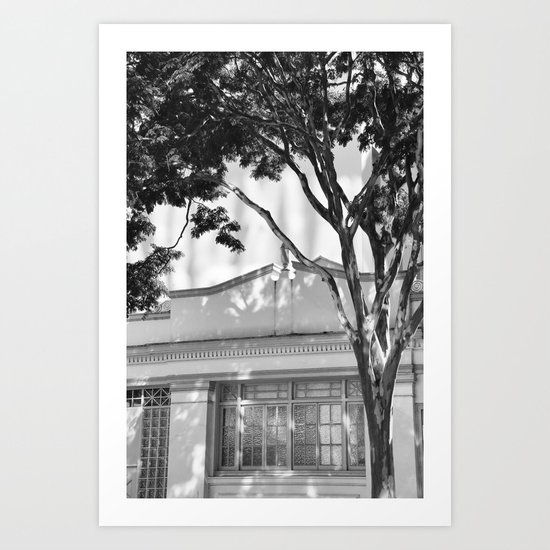 Frames of Timber Art Print