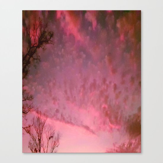 Red Night sky Canvas Print
