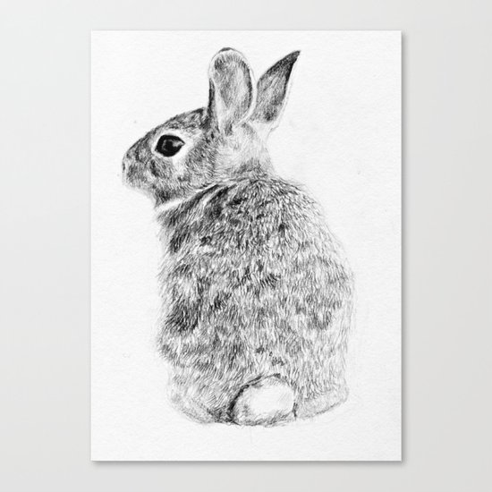 Rabbit Canvas Print