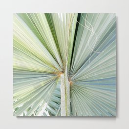 Fanned Palms Metal Print | Folds, Green, Palms, Color, Palmfrond, Leaves, Leaf, Mod, Nature, Tropical 