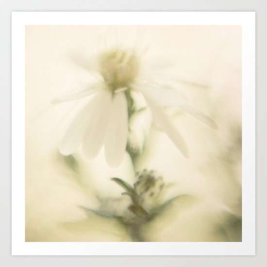 taking flight Art Print