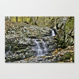 Cool Spring Falls Canvas Print