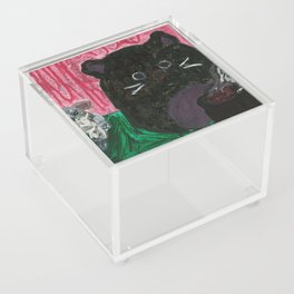 Cat and mouse Acrylic Box