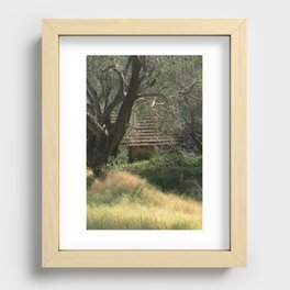 Sunlit grass Recessed Framed Print