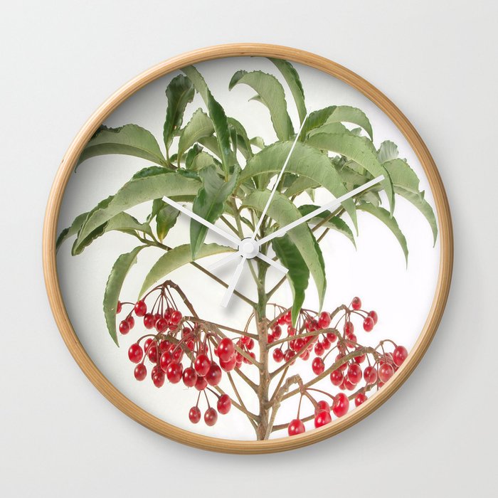Spice Berry Coral Ardisia Evergreen Shrub Wall Clock