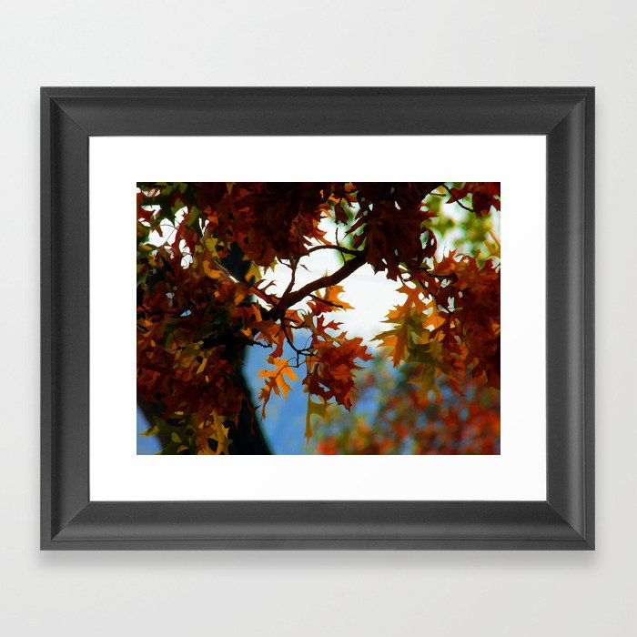 Fall Leaves Framed Art Print