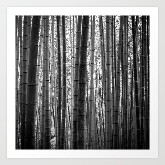 Bamboo Monochrome Art Print