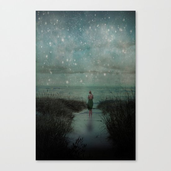 Stars in the Night Sky Canvas Print