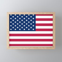 Flag of USA - American flag, flag of america, america, the stars and stripes,us, united states Framed Mini Art Print