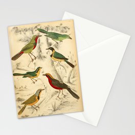 Thrush-shrikes from The Edinburgh Journal, 1835 (benefitting The Nature Conservancy) Stationery Card