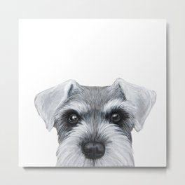 Schnauzer Grey&white, Dog illustration original painting print Metal Print | Pet, Realism, Popart, Pups, Grey, Acrylic, Dog, Veterinarian, Illustration, Cute 