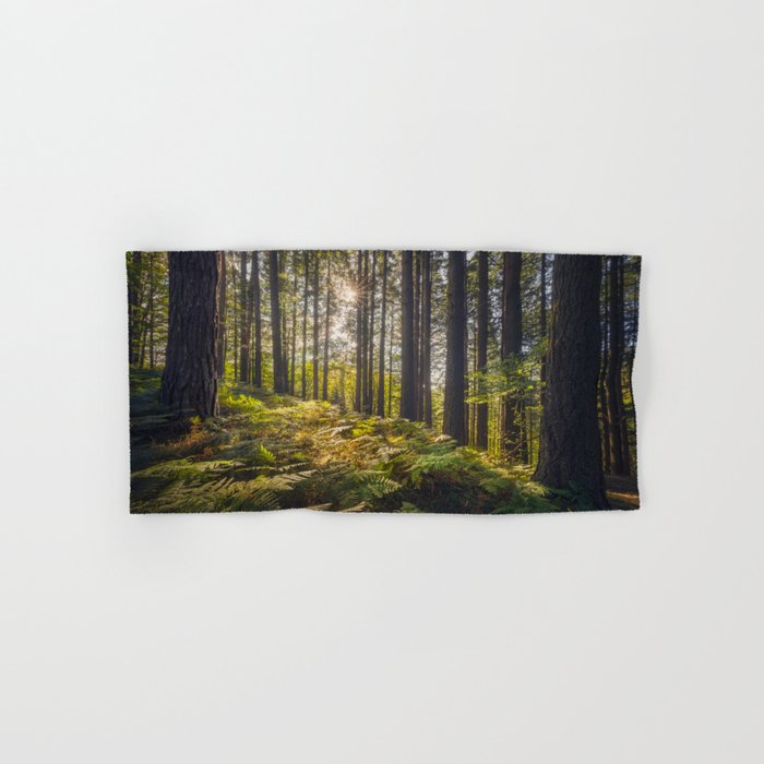 Acquerino forest. Douglas firs and ferns in the morning. Tuscany Hand & Bath Towel