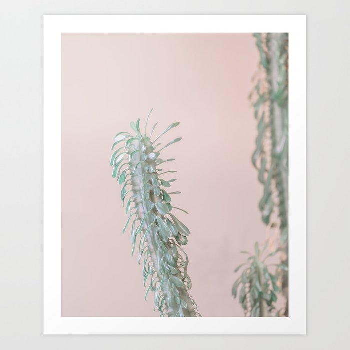 Cactus No. 4 Art Print
