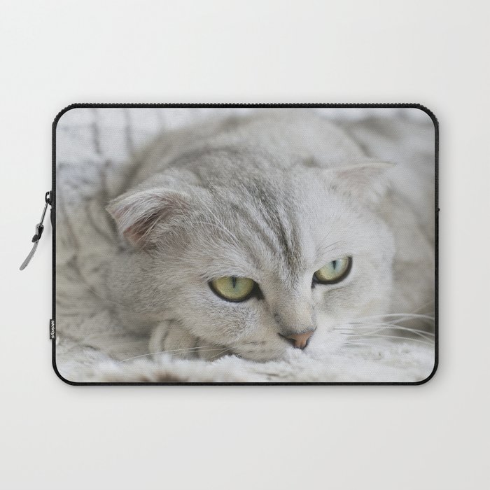 Cute Grey Cat Laptop Sleeve