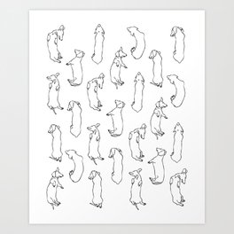Dachshund Sleep Study Pattern. Sketches of my pet dachshund's sleeping positions. Art Print