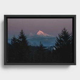 Mt. Hood Forest Mountain - Nature Photography Framed Canvas