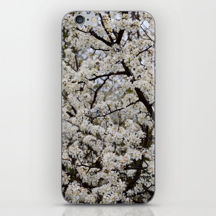 Spring Blossoms iPhone Skin