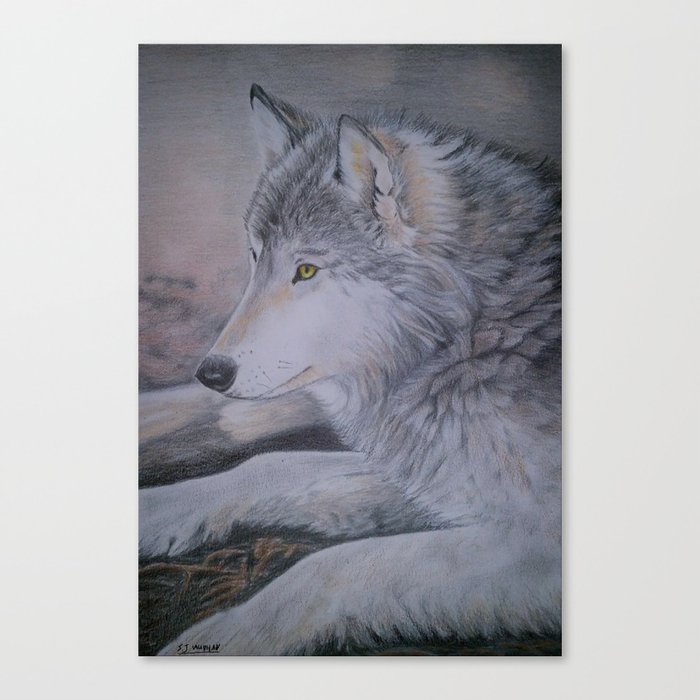 Wild Dog Canvas Print
