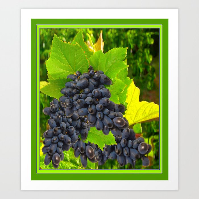 Decorative Dark Purple Wine Grapes Green Leaves Art. Art Print