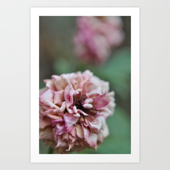 almost gone Art Print