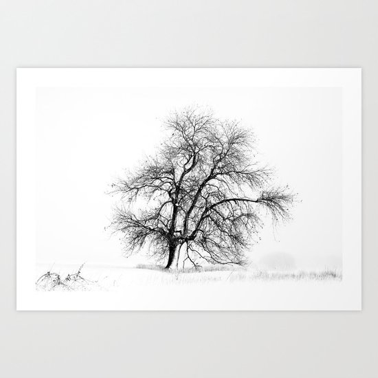 Winter White Art Print