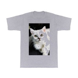 Mesmerizing Eyes T Shirt | Lookingup, Beautiful, Photo, Babycat, Lovelycat, Cute, Mesmerizingeyes, Sweet, Pets, Chinchilla 