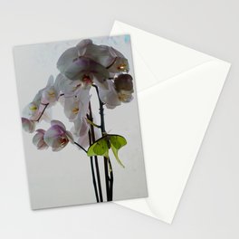 Luna Moths Stationery Cards