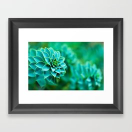Green Succulent Mandala Framed Art Print